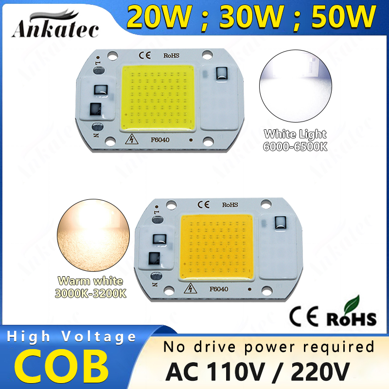 Zumtobel Outdoor Lighting - 3000K 6000K LED COB Chip Light